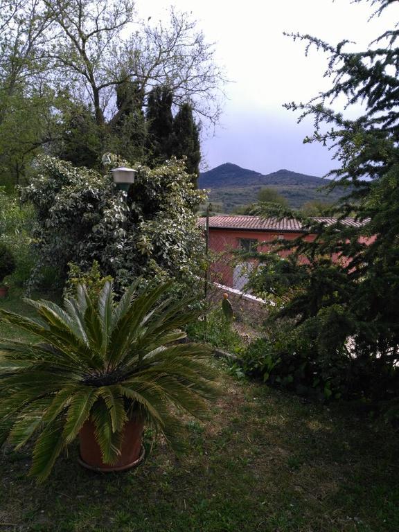 Agriturismo Usurtala Orani Exteriér fotografie