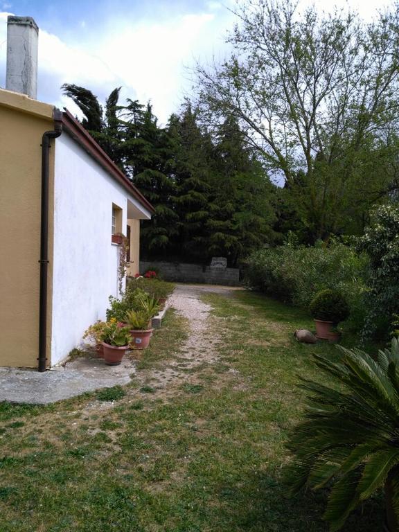 Agriturismo Usurtala Orani Exteriér fotografie