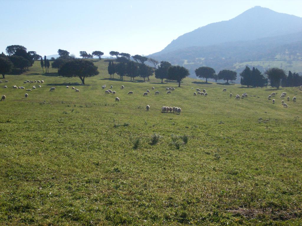 Agriturismo Usurtala Orani Exteriér fotografie